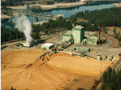 Aerial view of Avista Kettle Falls Generating Station